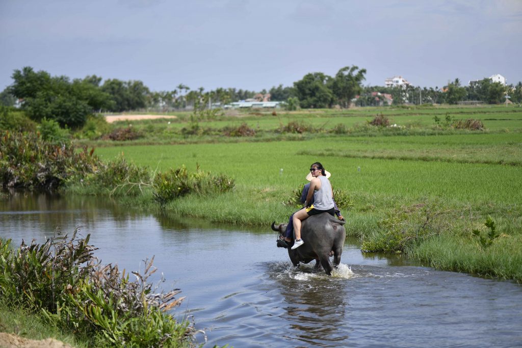 buffalo riding and basket boat tour